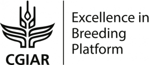 CGIAR Excellence in Breeding Platform