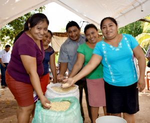 Women identify postharvest damage in seeds during a workshop in Campeche, Mexico.